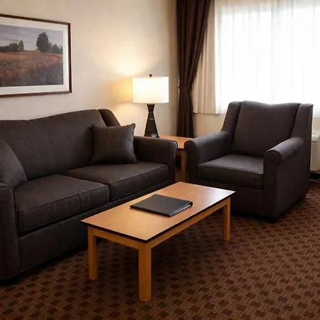 Crystal Inn Hotel & Suites - Great Falls-3